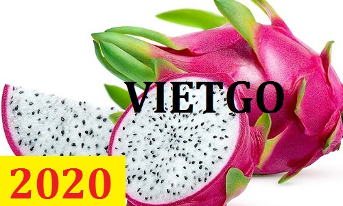 Cơ hội giao thương – Đơn hàng Cả Năm - Cơ hội xuất khẩu Thanh Long sang thị trường Ả Rập.