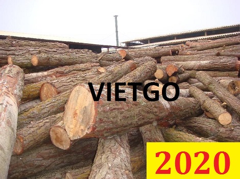 Cơ Hội Giao Thương Đặc Biệt - Đơn Hàng Thường Xuyên – Cơ Hội Xuất Khẩu Gỗ Thông Tròn Sang Thị Trường Sri Lanka.
