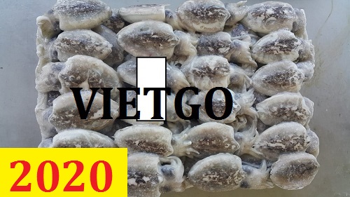 Cơ hội giao thương – Đơn hàng cả năm – Vị khách hàng Lebanon cần tìm nhà cung cấp Bạch tuộc