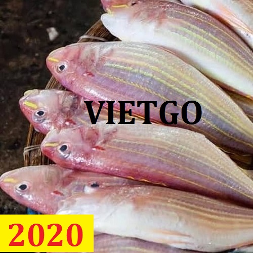 Cơ hội giao thương – Đơn hàng cả năm – Cơ hội xuất khẩu Cá diêu hồng cho thương nhân người Lebanon