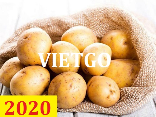 Cơ hội giao thương – Đơn hàng Cả Năm - Cơ hội xuất khẩu Khoai Tây sang thị trường Ấn Độ