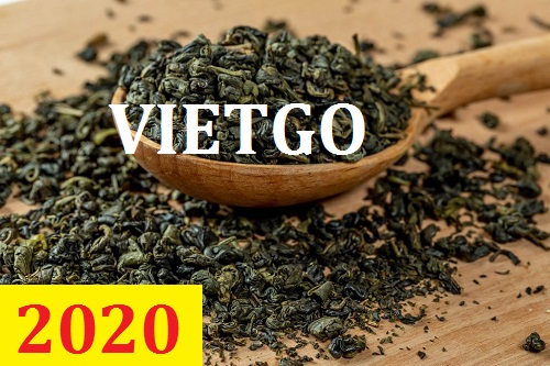 Cơ hội giao thương – Đơn hàng Cả Năm - Cơ hội xuất khẩu Chè Xanh sang thị trường Mauritania