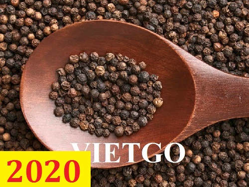 Cơ hội giao thương – Đơn hàng thường xuyên – Cơ hội xuất khẩu Hạt Tiêu sang thị trường Iraq.