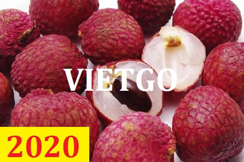 Cơ hội giao thương – Đơn hàng Cả Năm - Cơ hội xuất khẩu Quả Vải sang thị trường Ả Rập