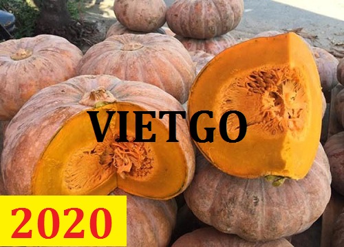 Cơ hội giao thương – Đơn hàng Cả Năm - Cơ hội xuất khẩu Bí Đỏ sang thị trường Ả Rập