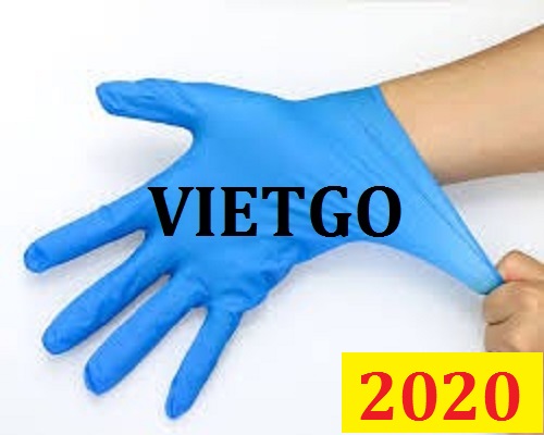 Cơ hội giao thương Đặc Biệt Thường Xuyên – Cơ hội xuất khẩu số lượng lớn Găng tay sang thị trường Mỹ