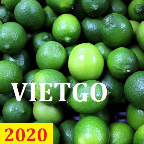 Cơ  hội giao thương – Đơn hàng thường xuyên - Cơ hội xuất khẩu Chanh Xanh đến thị trường Ai Cập.