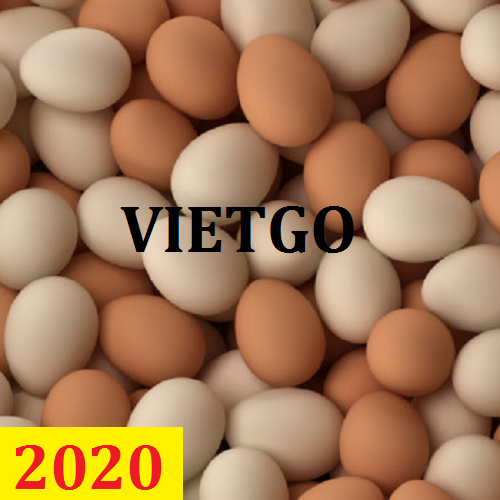 Cơ hội giao thương – Đơn hàng Cả Năm - Cơ hội xuất khẩu Trứng Gà sang thị trường Oman