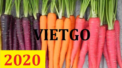 Cơ hội giao thương – Đơn hàng Cả Năm - Cơ hội xuất khẩu Cà Rốt sang thị trường Pakistan
