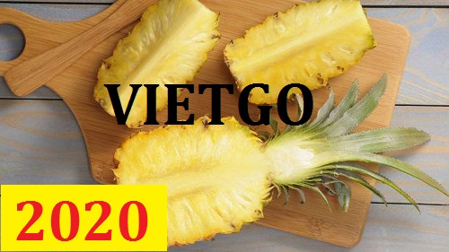 Cơ hội giao thương – Đơn hàng Cả Năm - Cơ hội xuất khẩu Quả Dứa sang thị trường Pakistan