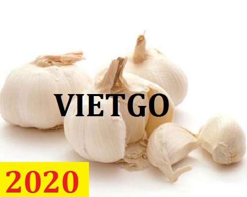 Cơ hội giao thương – Đơn hàng thường xuyên – Cơ hội xuất khẩu Tỏi trắng sang thị trường Indonesia.