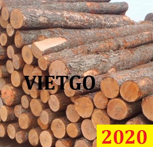 Cơ Hội Giao Thương Đặc Biệt - Đơn Hàng Thường Xuyên – Cơ Hội Xuất Khẩu Gỗ Thông Tròn Sang Thị Trường Ấn Độ.