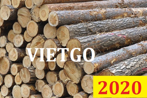 Cơ Hội Giao Thương Đặc Biệt - Đơn Hàng Thường Xuyên – Cơ Hội Xuất Khẩu Gỗ Vân Sam Tròn Sang Thị Trường Ấn Độ.