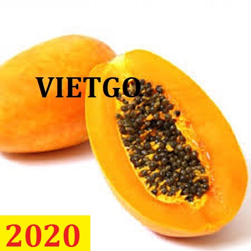 Cơ hội giao thương – Đơn hàng Thường Xuyên – Cơ hội xuất khẩu Đu đủ sang thị trường Pakistan.