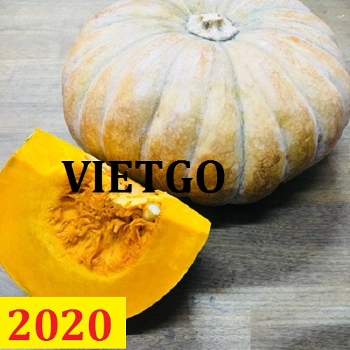 Cơ hội giao thương – Đơn hàng Cả Năm - Cơ hội xuất khẩu Bí Đỏ sang thị trường Ấn Độ