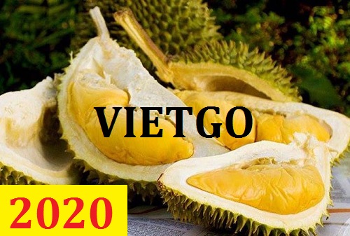 Cơ hội giao thương – Đơn hàng Cả Năm - Cơ hội xuất khẩu Sầu Riêng sang thị trường Ấn Độ