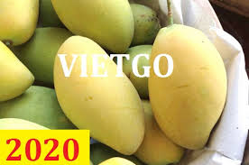 Cơ  hội giao thương – Đơn hàng thường xuyên - Cơ hội xuất khẩu Xoài đến thị trường Pháp.