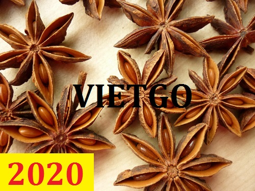 Cơ hội giao thương – Đơn hàng Cả Năm - Cơ hội xuất khẩu Hoa Hồi sang thị trường Iraq