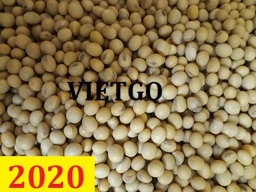 Cơ hội giao thương – Đơn hàng Thường Xuyên - Cơ hội xuất khẩu Đậu Nành sang thị trường Thổ Nhĩ Kỳ.