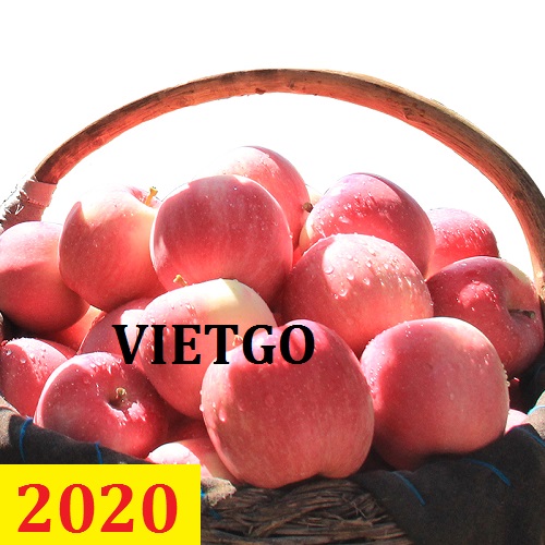 Cơ  hội giao thương – Đơn hàng thường xuyên - Cơ hội xuất khẩu Táo đỏ đến thị trường Pháp.