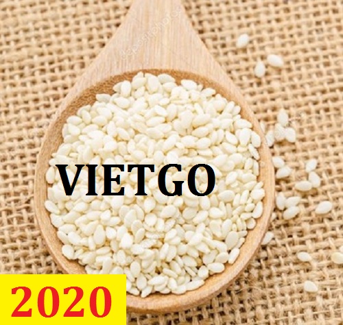 Cơ hội giao thương – Đơn hàng Cả Năm - Cơ hội xuất khẩu Vừng Trắng sang thị trường Iraq