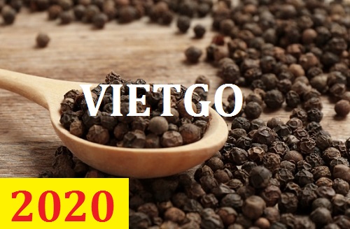 Cơ hội giao thương – Đơn hàng Cả Năm - Cơ hội xuất khẩu Tiêu Đen sang thị trường Ấn Độ