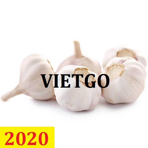 Cơ hội giao thương – Đơn hàng Cả Năm - Cơ hội xuất khẩu Tỏi Trắng sang thị trường Thổ Nhĩ Kỳ