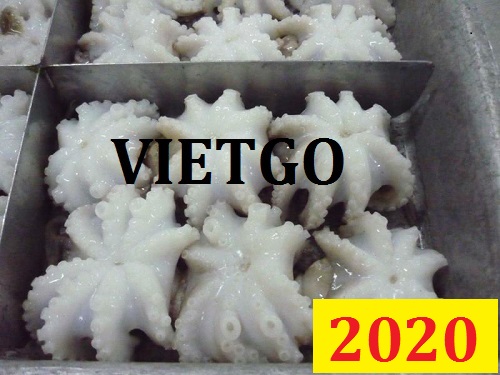 Cơ hội giao thương Đặc biệt – Đơn hàng Cả Năm - Cơ hội xuất khẩu Bạch Tuộc sang thị trường Maldives