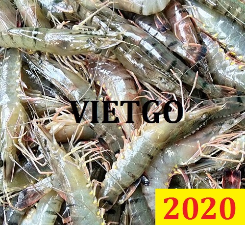 Cơ hội giao thương Đặc biệt – Đơn hàng Cả Năm - Cơ hội xuất khẩu Tôm Sú và Tôm Thẻ Chân Trắng sang thị trường Maldives