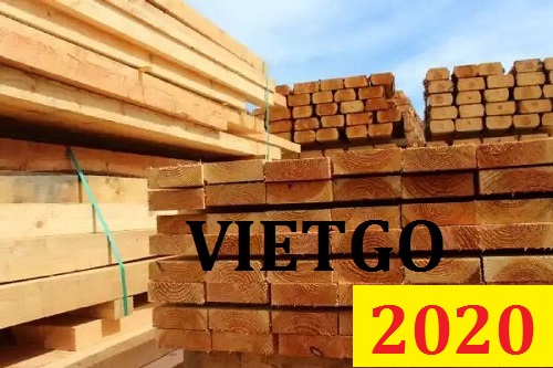 Cơ Hội Giao Thương Đặc Biệt - Đơn Hàng Thường Xuyên – Cơ Hội Xuất Khẩu Gỗ Thông Xẻ Sang Thị Trường Trung Quốc.
