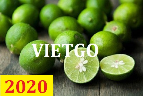 Cơ  hội giao thương – Đơn hàng thường xuyên - Cơ hội xuất khẩu Chanh Xanh đến thị trường Pháp.