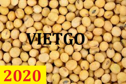 Cơ hội giao thương - Đơn hàng thường xuyên - Cơ hội xuất khẩu Đậu nành sang thị trường Ai Cập.