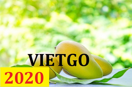 Cơ hội giao thương – Đơn hàng Cả Năm - Cơ hội xuất khẩu Quả Xoài sang thị trường Hàn Quốc