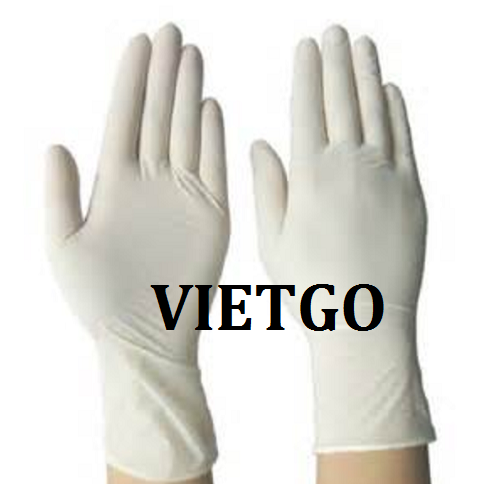 Cơ hội giao thương – Đơn hàng đặc biệt – Cơ hội xuất khẩu găng tay cao su cho doanh nhân Mỹ.