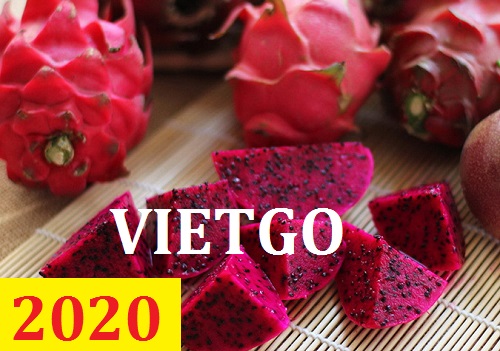Cơ hội giao thương – Đơn hàng Cả Năm - Cơ hội xuất khẩu Thanh Long sang thị trường Thổ Nhĩ Kỳ