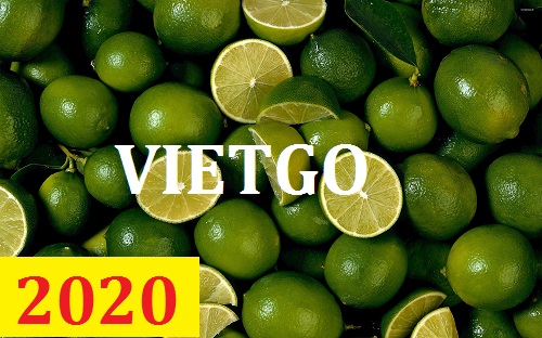Cơ hội giao thương – Đơn hàng Cả Năm - Cơ hội xuất khẩu Chanh Xanh sang thị trường UAE
