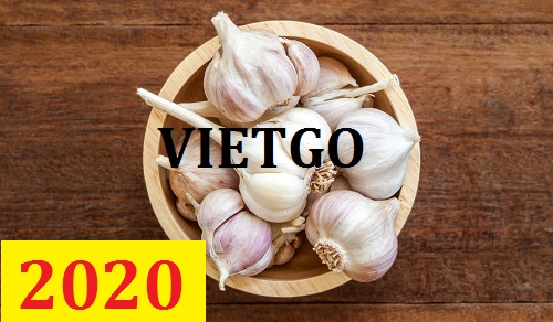 Cơ hội giao thương – Đơn hàng thường xuyên – Cơ hội xuất khẩu tỏi trắng sang thị trường Ấn Độ.