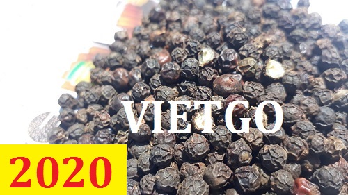 Cơ hội giao thương – Đơn hàng Cả Năm - Cơ hội xuất khẩu Hạt Tiêu sang thị trường Anh