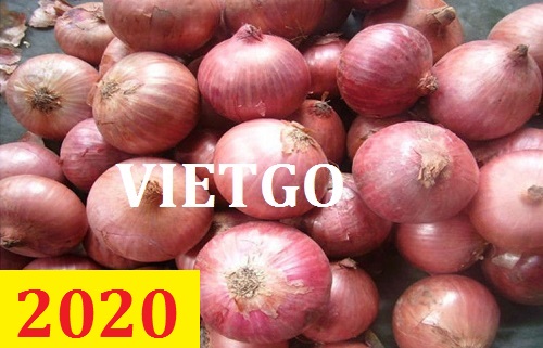 Cơ hội giao thương – Đơn hàng thường xuyên – Cơ hội xuất khẩu Hành tím sang thị trường Ấn Độ.