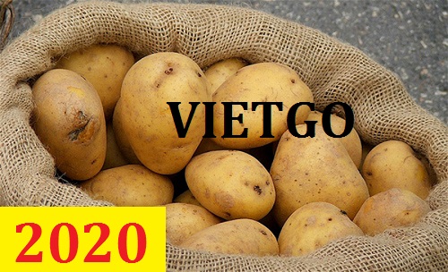 Cơ hội giao thương – Đơn hàng thường xuyên – Cơ hội xuất khẩu Khoai Tây sang thị trường Ấn Độ.