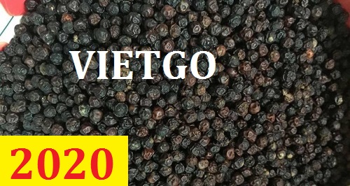 Cơ hội giao thương – Đơn hàng Thường Xuyên  - Cơ hội xuất khẩu Tiêu Đen sang thị trường Ấn Độ