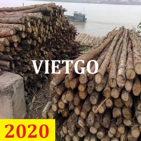Cơ Hội Giao Thương - Đơn Hàng Thường Xuyên – Cơ Hội Xuất Khẩu Gỗ Keo Tròn Sang Thị Trường Ấn Độ.