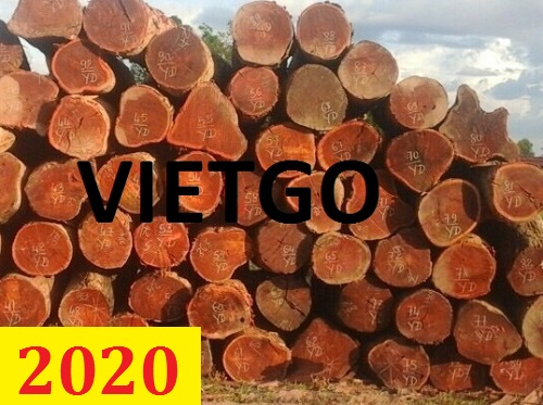 Cơ hội giao thương – Đơn hàng thường xuyên - Cơ hội xuất khẩu Gỗ căm xe tròn sang Ấn Độ