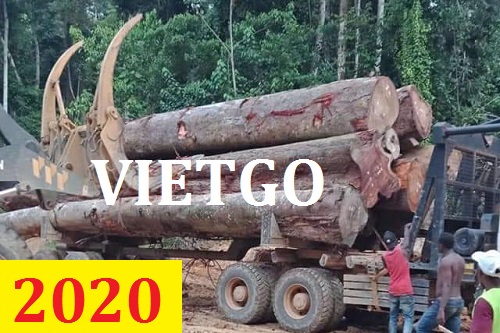 Cơ Hội Giao Thương - Đơn Hàng Thường Xuyên – Cơ Hội Xuất Khẩu Gỗ teak tròn  Sang Thị Trường Ấn Độ