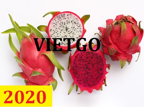 Cơ hội giao thương – Đơn hàng thường xuyên – Cơ hội xuất khẩu Thanh long sang thị trường Bangladesh.