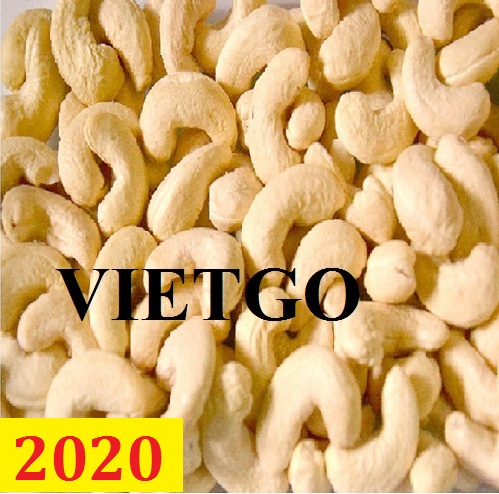 Cơ hội giao thương – Đơn hàng Cả Năm – Cơ hội xuất khẩu Hạt Điều sang thị trường Ấn Độ tiềm năng