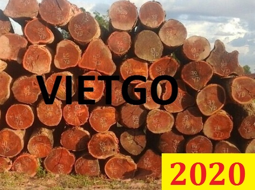 Cơ Hội Giao Thương Đặc Biệt - Đơn Hàng Thường Xuyên – Cơ Hội Xuất Khẩu Gỗ Căm Xe Tròn Sang Thị Trường Bangladesh.