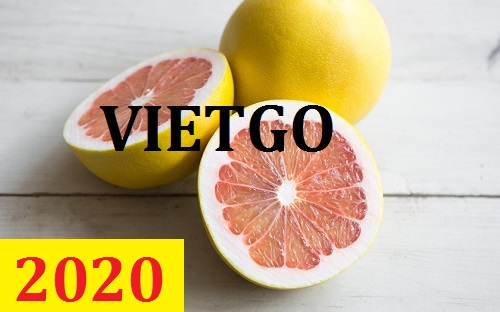 Cơ hội giao thương – Đơn hàng Cả Năm - Cơ hội xuất khẩu Quả Bưởi sang thị trường UAE