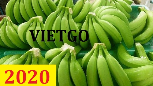 Cơ hội giao thương – Đơn hàng Cả Năm - Cơ hội xuất khẩu Chuối Cavendish sang thị trường Anh