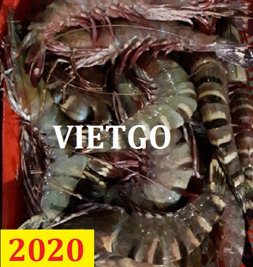 Cơ hội giao thương – Đơn hàng Cả Năm - Cơ hội xuất khẩu Tôm Sú sang thị trường Ai Cập